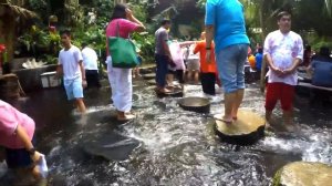 Ресторан под Водой и Самые Невероятные Рестораны