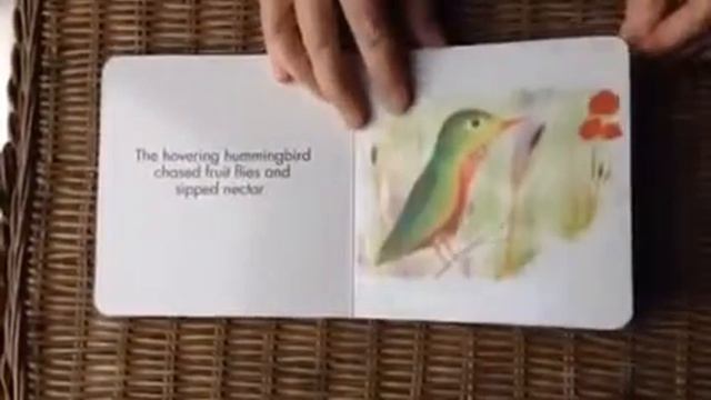 The Zoo Board Book смотреть онлайн