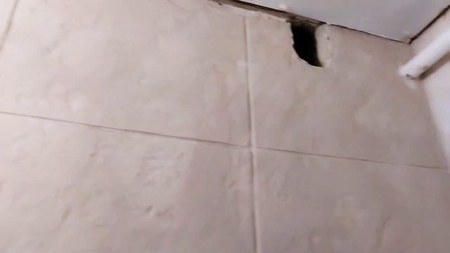 Сделал тёще бюджетный ремонт в туалете.  Шикарная отделка стен всего за 2000 рублей!