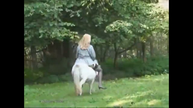 After work pony ride Из офиса на лошадь