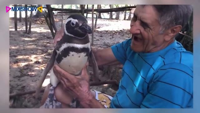 10 ДОБРЫХ ПОСТУПКОВ, которые ЗАСТАВЯТ ВАС ЗАДУМАТЬСЯ 2 часть смотреть онлайн