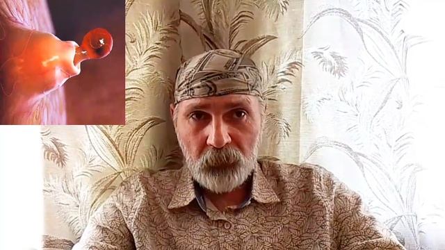 По факту Рождения Суд не имеет права отнять ребенка у Отца !