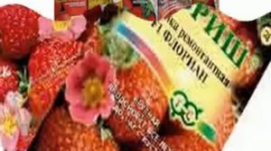 китайские семена овощей купить