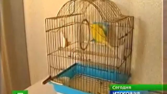 О состоянии ЖКХ России от 4 октября 2009 года смотреть онлайн