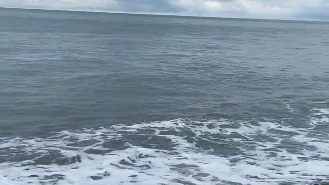 22.04.2023. Погода в Сочи в апреле.Смотри на Чёрное море каждый день.