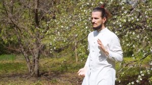 18 форм тайцзи | Цигун | Leo Somna | Tai Chi 18 forms | #цигун #qigong #taichi