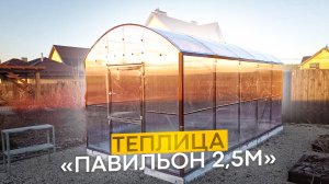 ПАВИЛЬОН 2,5М. ШИРИНА ТЕПЛИЦЫ ПАВИЛЬОН 2,5 МЕТРА. ВЫСОКИЕ ПРЯМЫЕ СТЕНЫ.