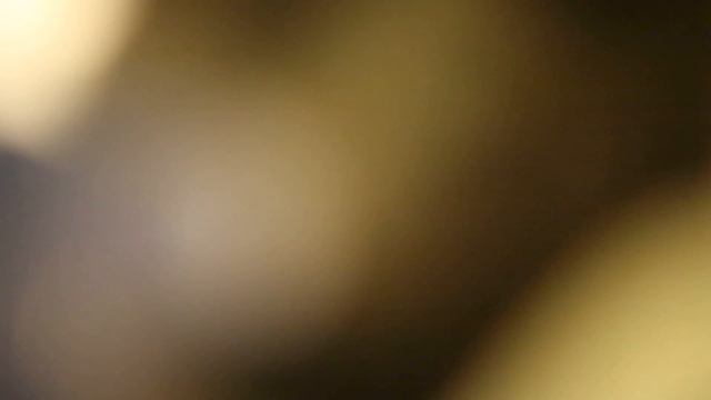 Katze Benni inhaliert mit dem Pariboy смотреть онлайн