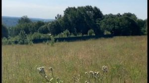 Участок 18 соток в деревне Новое Сельцо. Московская область