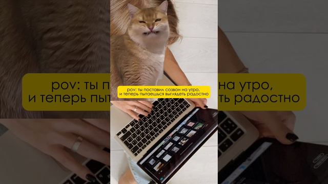 СОЗВОНЫ ПО УТРАМ - ЗЛО | А как вы ощущаете себя по утрам? #маркетинг #memes #бизнес #личныйбренд