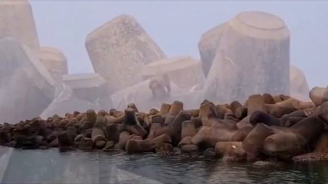 Рыбаки были ОШАРАШЕНЫ, увидев это существо на безлюдном острове.❗ смотреть онлайн