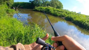 КОГДА ОН ВСПЛЫЛ, Я ОФИГЕЛ! Голавль на малой реке. Рыбалка на спиннинг