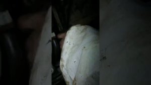 Где находится Реле на  транспортере т5 1.9 Volkswagen transporter 1.9