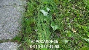 Боковая роторная косилка для мини -мото-трактора с ременным приводом