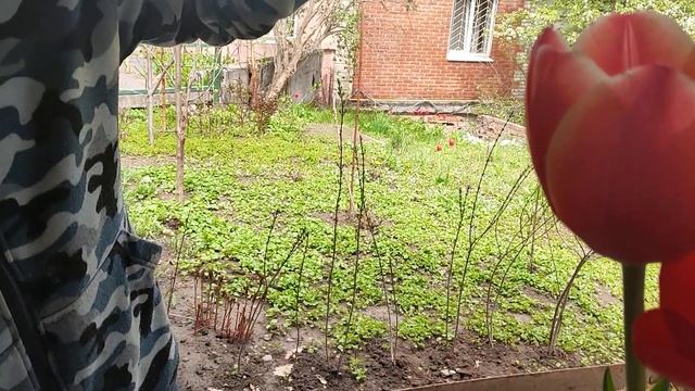 РАСПАКОВКА и ОБЗОР КВАДРОКОПТЕРА DJI MAVIC MINI / С ПРАЗДНИКОМ ВЕЛИКОЙ ПОБЕДЫ! / УКРАИНА 09.05.2021 смотреть онлайн