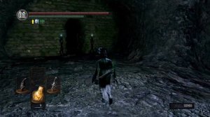 Dark Souls: Remastered | DLC Artorias of the Abyss | Прохождение #35 | Волчонок Сиф в Бездне