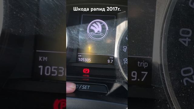 Сброс инспекционный сервис и масло шкода рапид