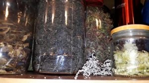 Хмель - как он используется в нашем доме