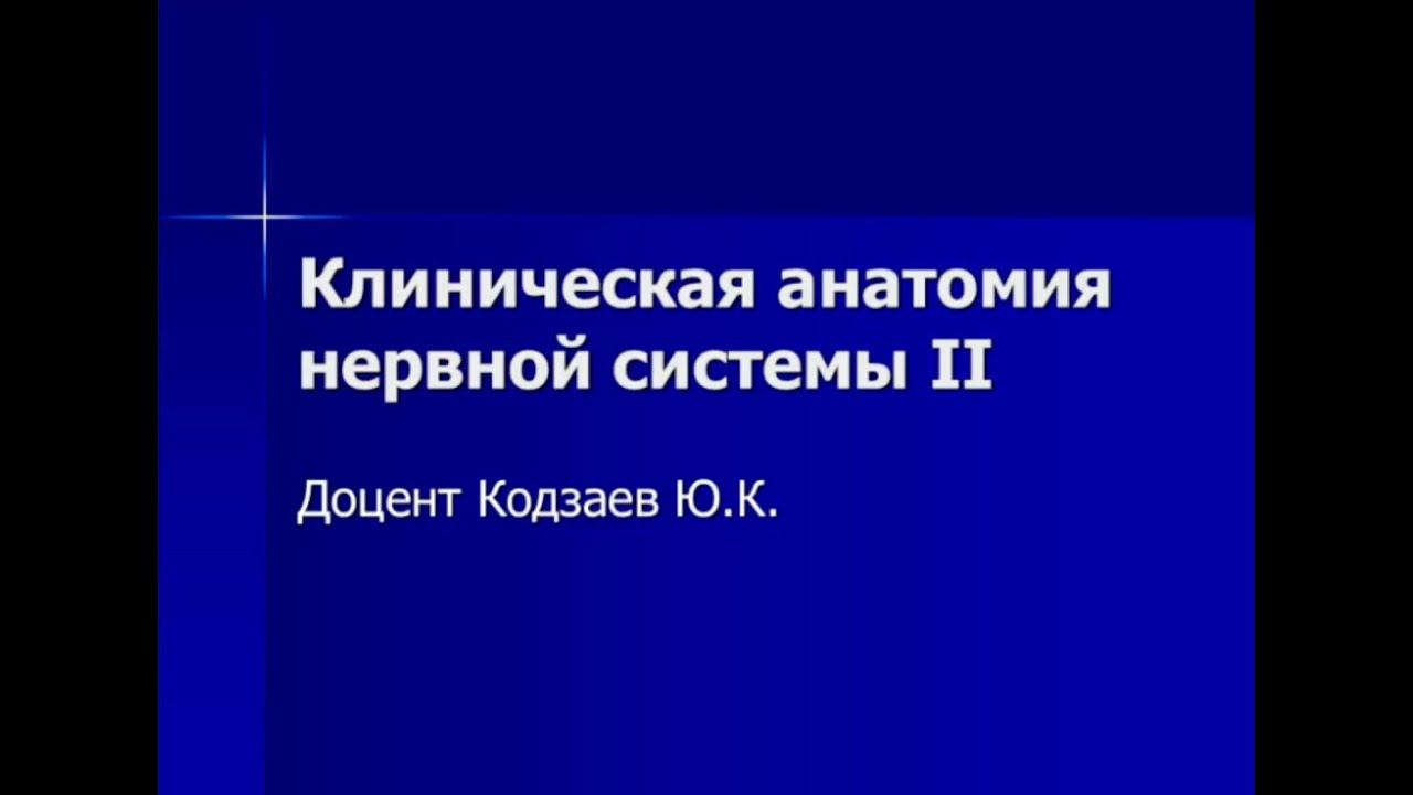 Кодзаев Ю.К. Клиническая анатомия нервной системы II. смотреть онлайн