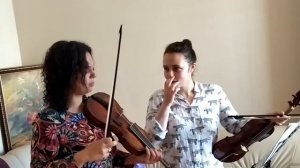 О количестве смычка и звуке на жильной струне #BaroqueViolinChallenges