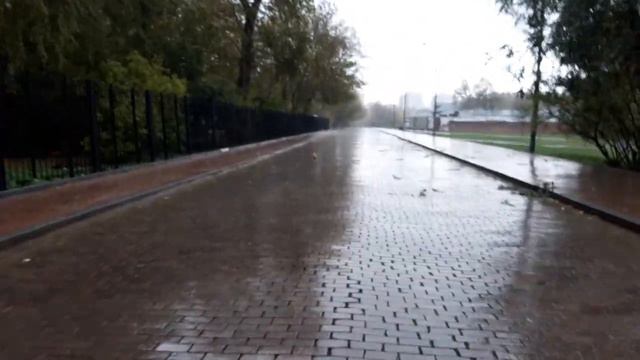 Акула под дождём !)