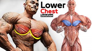 лучшее упражнение для тренировки нижней части груди ?