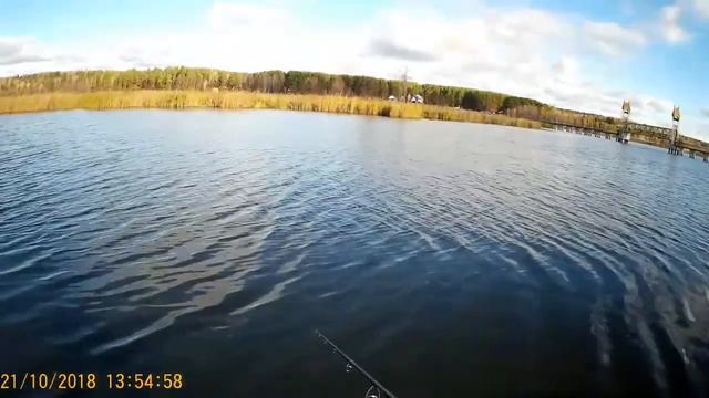 Тест спининга графитлидер риволта тест 5-18