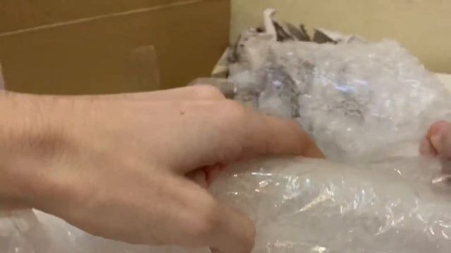 Распаковка посылки! Новый вид муравьев в коллекцию!!!