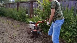 Вспашка мотоблоком с фрезами.