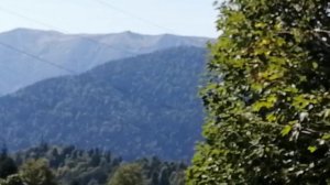 Даховская- Партизанская поляна 2020.mp4