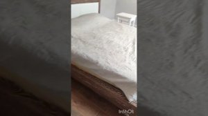 Установка плинтуса из Леруа. Дюрополимер. Частный дом. Плинтус в санузел. Ростов на Дону
