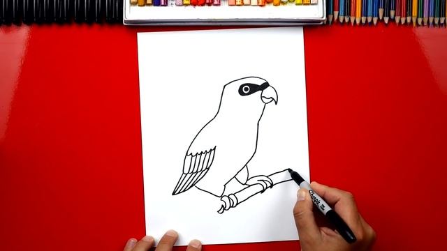 How To Draw A Realistic Rainbow Lorikeet смотреть онлайн