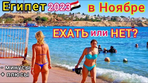 Египет в НОЯБРЕ 2023 Стоит ли ЛЕТЕТЬ на ОТДЫХ? Все ПЛЮСЫ и МИНУСЫ. Цены на туры