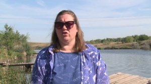 В Самарской области прошли соревнования по спасению на воде с участием собак