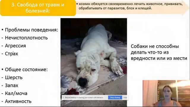 Программа "Все про Собак" - с Зоопсихологом Евгенией Волчковой