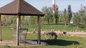 Казанский зооботсад.