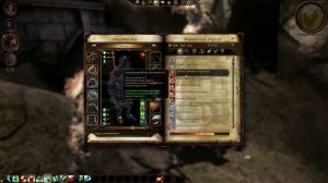 Dragon Age  Origins Восставший из мертвых