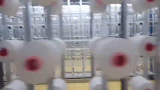 Завод Pongs смотреть онлайн