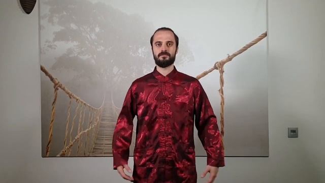 Данил Сусак «Вибрационная гимнастика для очистки лимфы и сосудов» смотреть онлайн