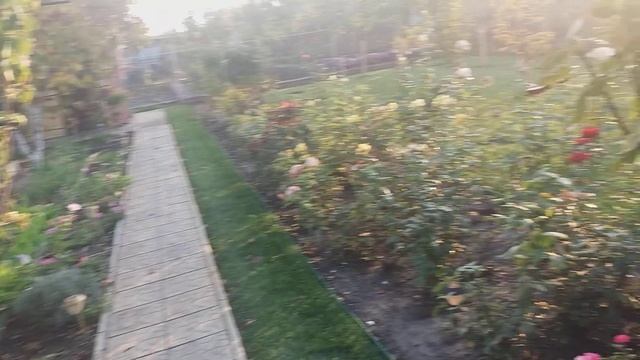 Дача,осень, бабье лето. смотреть онлайн