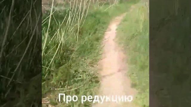 Электробайк из гироскутера !