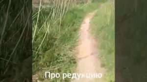 Электробайк из гироскутера !