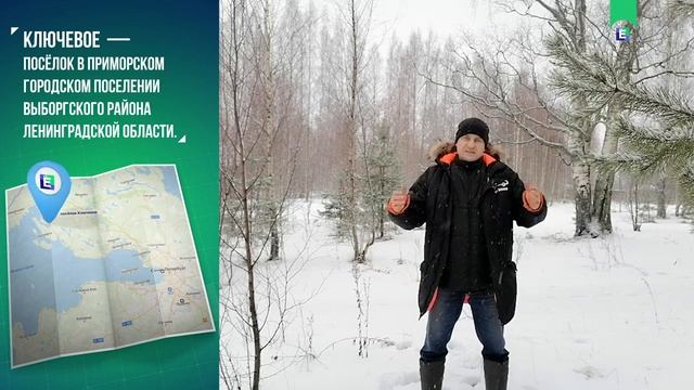 Проект "ЁЛКИ" приобрел участок на Финском заливе. Анонс смотреть онлайн