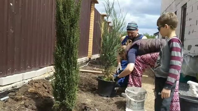 Высадка растений в клумбу вдоль соседского забора / В доме,  который построил