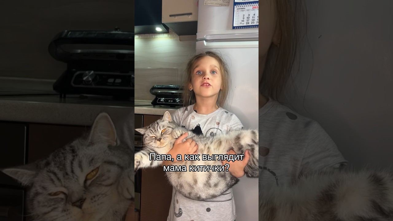 А как зовут маму кошки? #хит #скетч #юмор #семья