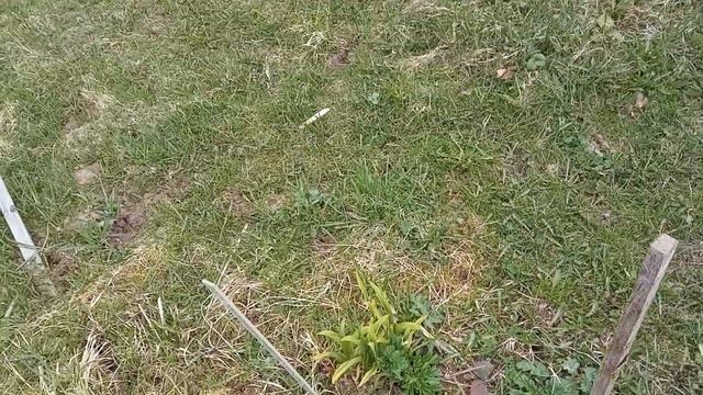 Весенняя дача смотреть онлайн