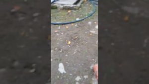 корморезка своими руками