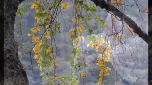 Листья жёлтые над городом кружатся