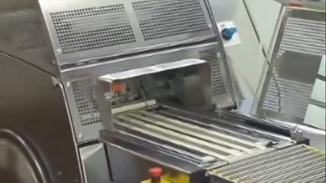 Автоматический упаковщик и запайщик лотков в пленку с газом