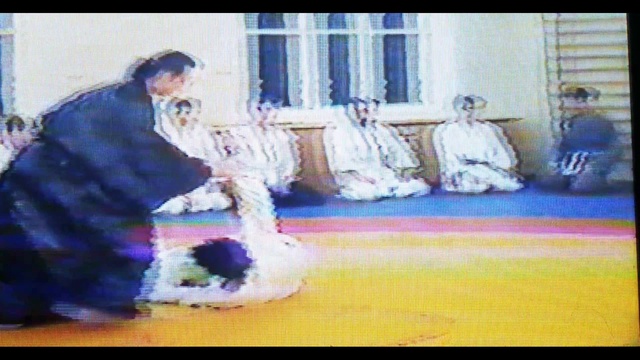 aikido tsunamikai Айкидо Цунами-кай